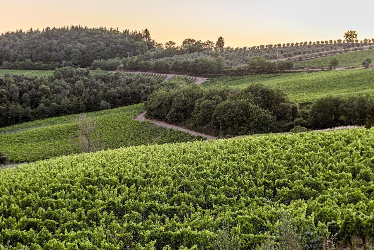 Agriturismo Concadoro Villa Castellina in Chianti Exteriör bild