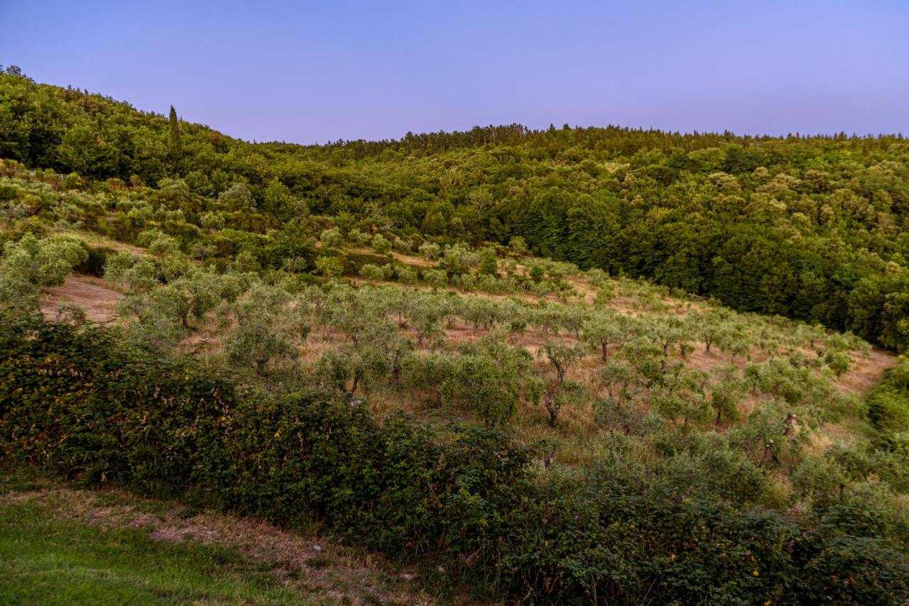 Agriturismo Concadoro Villa Castellina in Chianti Exteriör bild