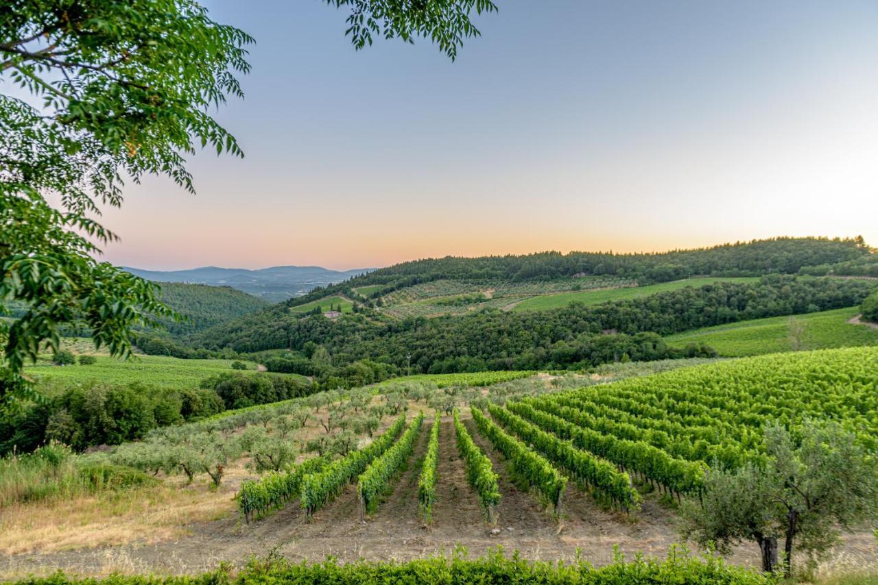 Agriturismo Concadoro Villa Castellina in Chianti Exteriör bild