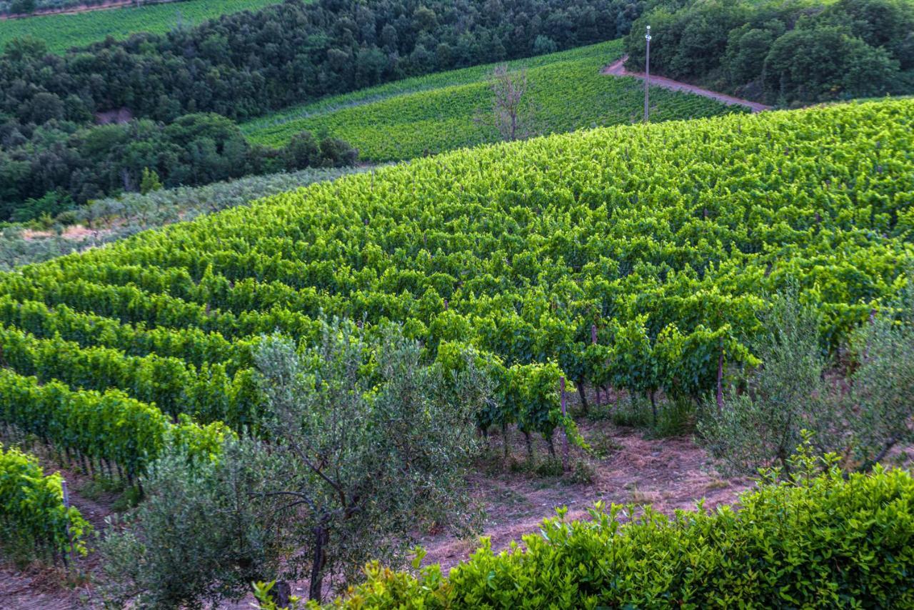 Agriturismo Concadoro Villa Castellina in Chianti Exteriör bild